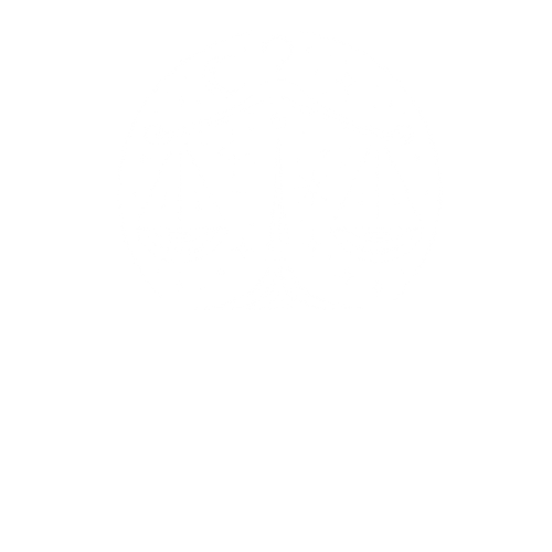 Libra Vibe
